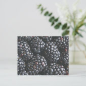 BlackBerry Postkarte (Stehend Vorderseite)