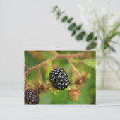 BlackBerry Postkarte (Stehend Vorderseite)
