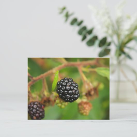 BlackBerry Postkarte (Stehend Vorderseite)