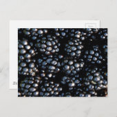 BlackBerry Postkarte (Vorne/Hinten)