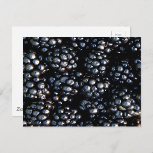 BlackBerry Postkarte (Vorne/Hinten)