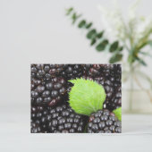 BlackBerry Postkarte (Stehend Vorderseite)