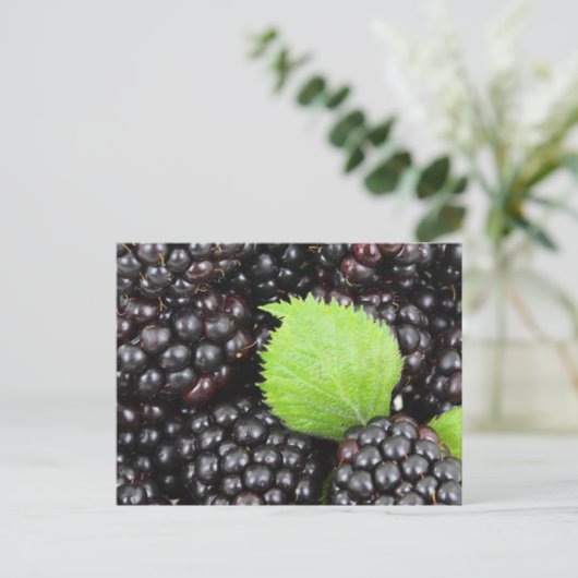 BlackBerry Postkarte (Stehend Vorderseite)