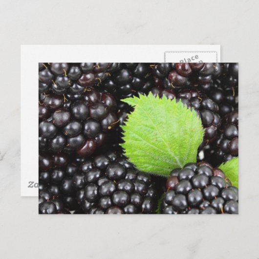 BlackBerry Postkarte (Vorne/Hinten)
