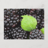 BlackBerry Postkarte (Vorderseite)