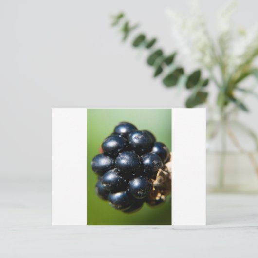 BlackBerry Postkarte (Stehend Vorderseite)