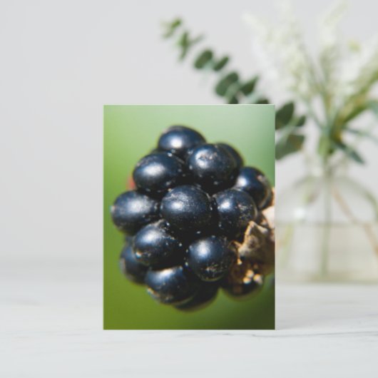 BlackBerry Postkarte (Stehend Vorderseite)