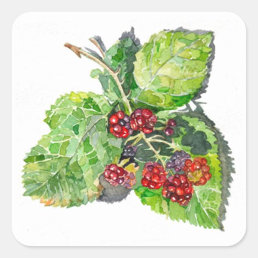 BlackBerry Quadratischer Aufkleber (Vorderseite)