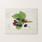 BlackBerry (Rubus subg. Rubus Watson) Obst Puzzle (Horizontal)