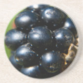 BlackBerry Sandstein Untersetzer (Vorne)