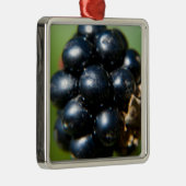 BlackBerry Silbernes Ornament (Rechts)