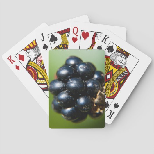 BlackBerry Spielkarten (Rückseite)