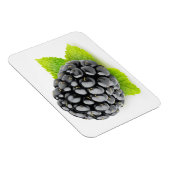 BlackBerry und Minze Magnet (Rechte Seite)