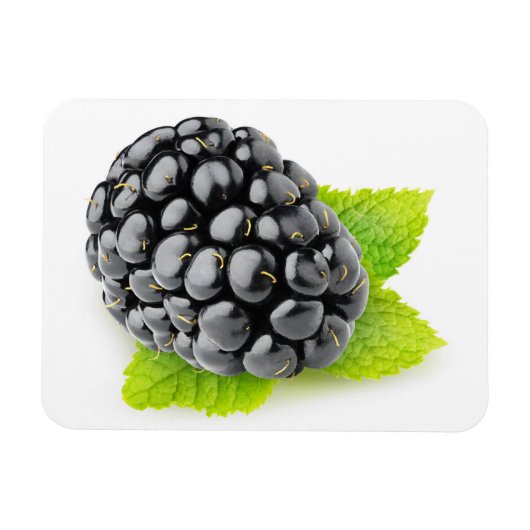 BlackBerry und Minze Magnet (Horizontal)