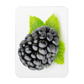 BlackBerry und Minze Magnet (Vertikal)