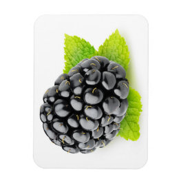 BlackBerry und Minze Magnet