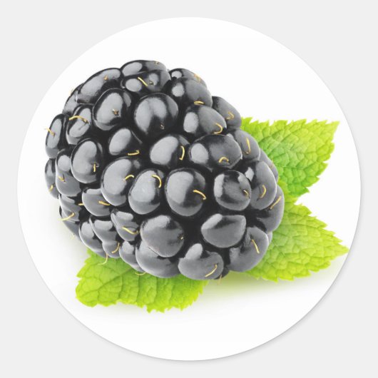 BlackBerry und Minze Runder Aufkleber (Vorderseite)