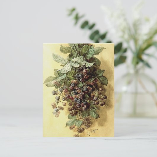 "BlackBerry" von Paul de Longpré Postkarte (Stehend Vorderseite)