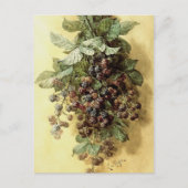 "BlackBerry" von Paul de Longpré Postkarte (Vorderseite)