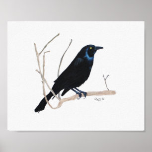 Blackbird 8x10 Print Poster
