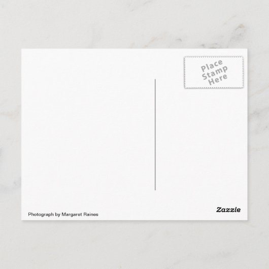 BlackBird auf einer Wire Postkarte (Rückseite)