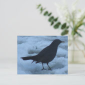 Blackbird auf Eis Postcard Postkarte (Stehend Vorderseite)