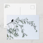 Blackbird auf Willow Postkarte (Vorne/Hinten)