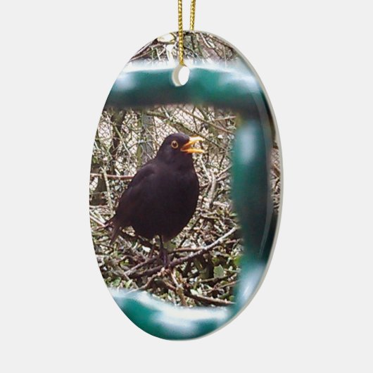 Blackbird Bars, Animal, Birds, Black Bird Keramik Ornament (Links)