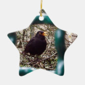 Blackbird Bars, Animal, Birds, Black Bird Keramikornament (Vorne)
