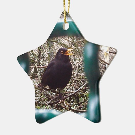 Blackbird Bars, Animal, Birds, Black Bird Keramikornament (Links)