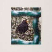 Blackbird Bars, Animal, Birds, Black Bird Puzzle (Vertikal)