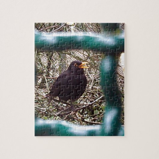 Blackbird Bars, Animal, Birds, Black Bird Puzzle (Vertikal)
