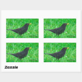 Blackbird-Bild für Rectangle-Sticker, Glossar Rechteckiger Aufkleber (Blatt)
