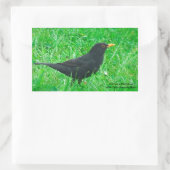 Blackbird-Bild für Rectangle-Sticker, Glossar Rechteckiger Aufkleber (Tasche)