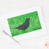 Blackbird-Bild für Rectangle-Sticker, Glossar Rechteckiger Aufkleber (Umschlag)
