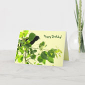 Blackbird Birthday Karte (Vorderseite)