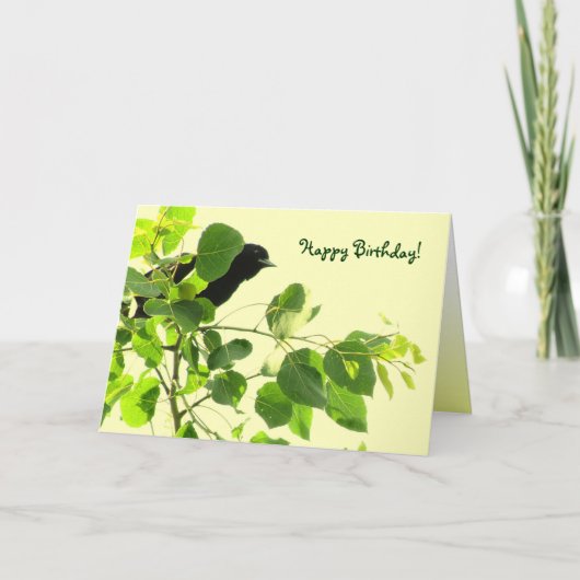 Blackbird Birthday Karte (Vorderseite)