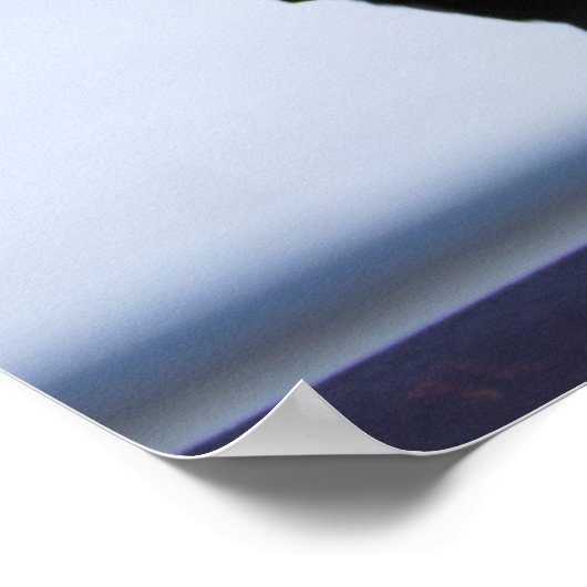 Blackbird-Foto Poster (Ecke)