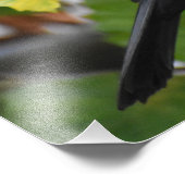 Blackbird Fotodruck (Ecke)