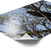 Blackbird Fotodruck (Ecke)