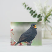 Blackbird im Baum Postkarte (Stehend Vorderseite)