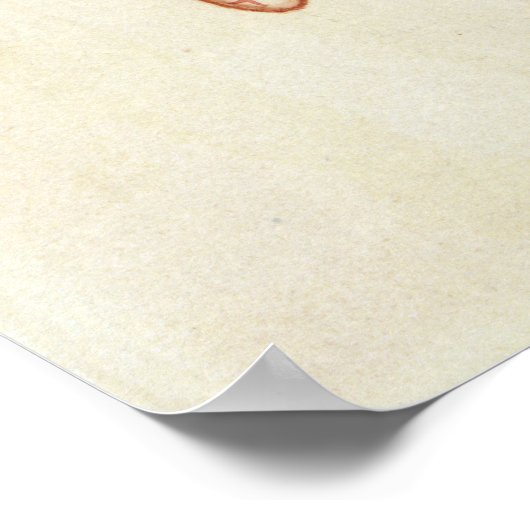 Blackbird in Snow, Ikeda Koson Poster (Ecke)