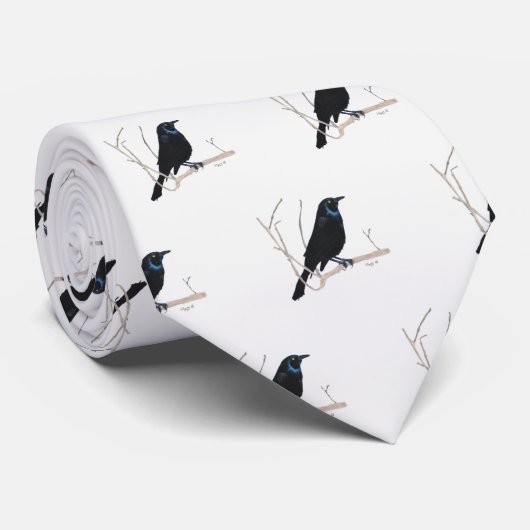 Blackbird-Krawatte Krawatte (Gerollt)