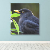 Blackbird Leinwanddruck (Insitu (Holzboden))