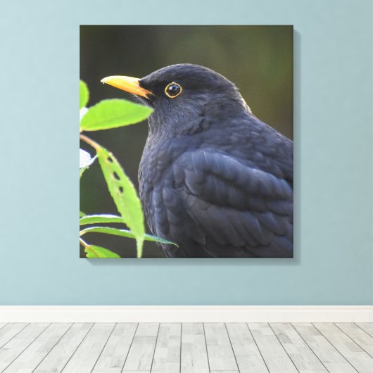 Blackbird Leinwanddruck (Insitu (Holzboden))