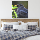 Blackbird Leinwanddruck (Insitu (Schlafzimmer))