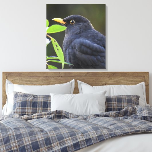 Blackbird Leinwanddruck (Insitu (Schlafzimmer))