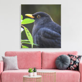 Blackbird Leinwanddruck (Insitu (Wohnzimmer))
