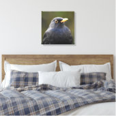 Blackbird Leinwanddruck (Insitu (Schlafzimmer))
