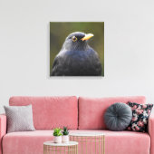 Blackbird Leinwanddruck (Insitu (Wohnzimmer))